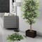 12-Pack Artificial Ficus Branches — 22" Stems with 42 Silk Leaves Each, Faux Greenery for Vases, Bouquets & DIY Arrangements | Floral Home